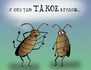 внутри головного мозга