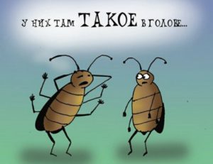 внутри головного мозга