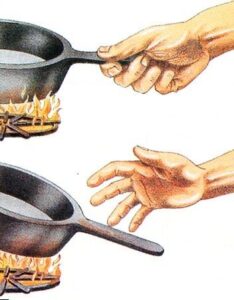 иммунитет кожи
