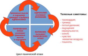панические атаки симптомы